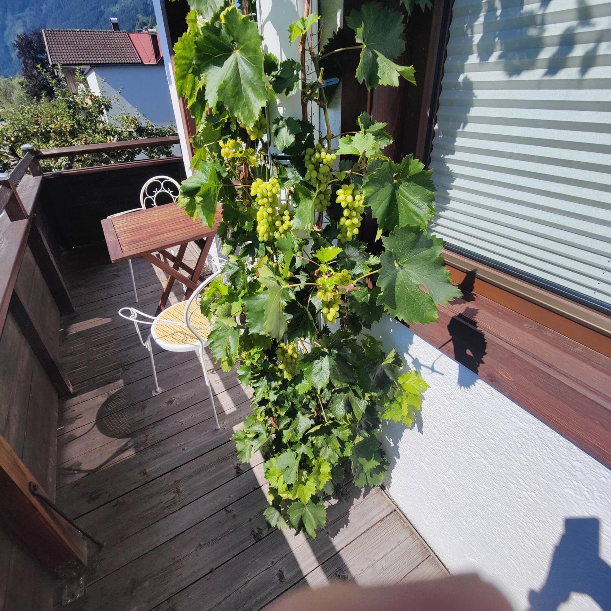 Apartment Reiter Zellbergeben Exteriör bild
